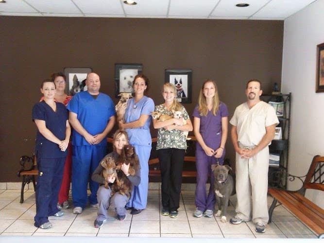 Friendswood Animal Clinic