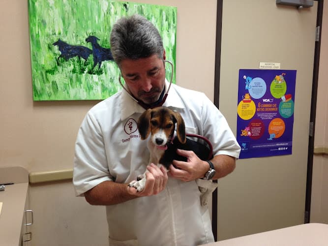 VCA DeSoto Animal Hospital