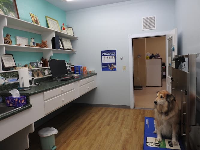 Lago Vista Animal Clinic