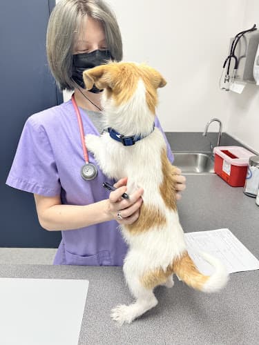 Neartown Animal Clinic
