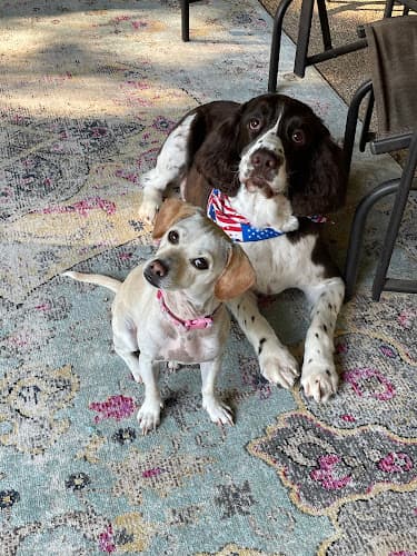 South Bosque Veterinary Clinic