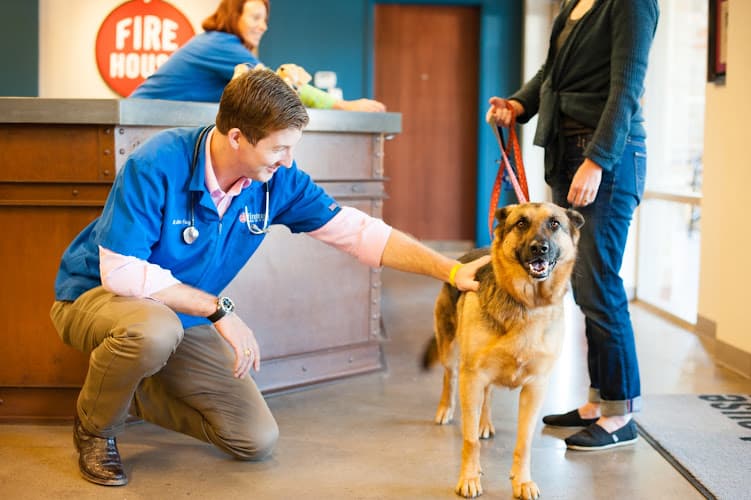 Firehouse Animal Health Center Westlake