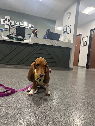 Mid-Cities Animal Urgent Care