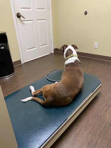 Oak Forest Veterinary Hospital