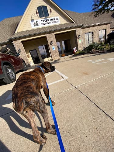 Tyler Animal Emergency Hospital