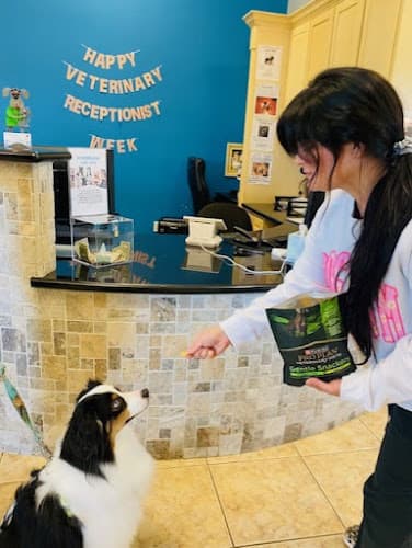 Stoneside Veterinary Hospital