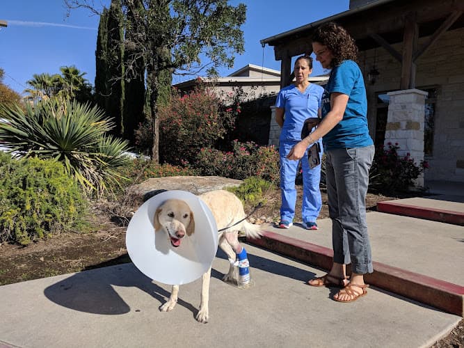 Central Texas Veterinary Speciality and Emergency Hospital- Round Rock