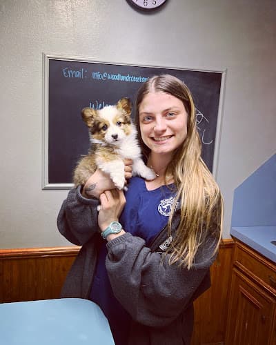 Woodlands Creek Animal Hospital