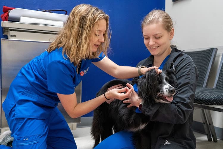 Firehouse Animal Health Center Round Rock