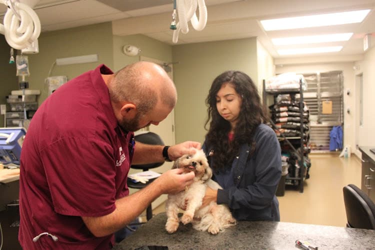 Lakeside Animal Clinic