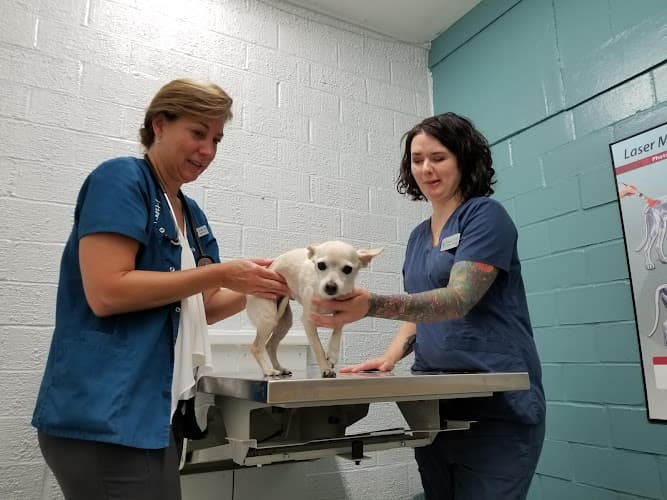 Tickle-Blagg Animal Hospital