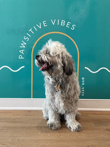 VO Vets Animal Hospital