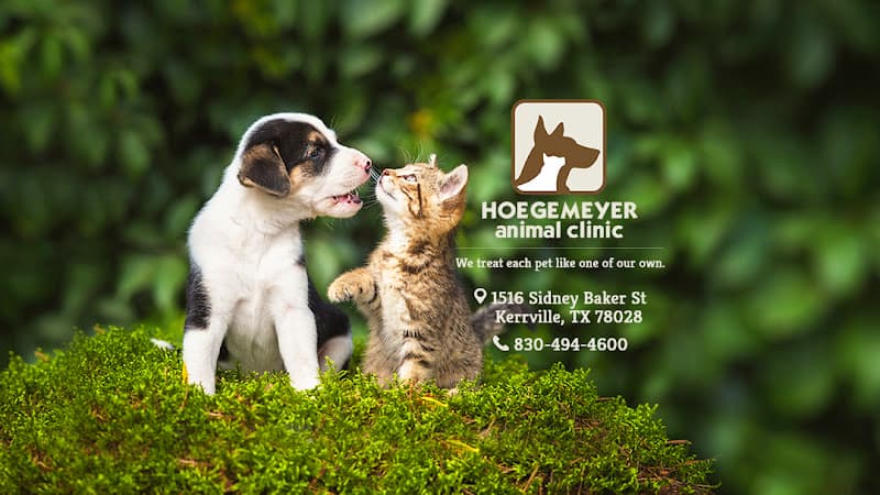 Hoegemeyer Animal Clinic