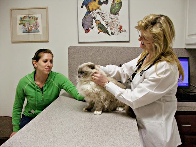 All Pets Veterinary Medical Center