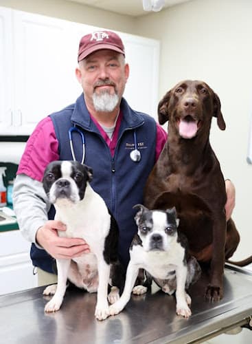 Our Family Vet - Jacksonville