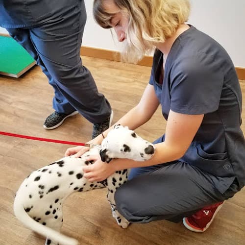 Low Cost Pet Vet