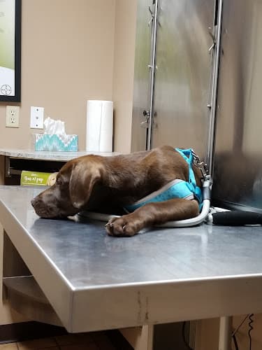 Aldine Mail Route Animal Hospital