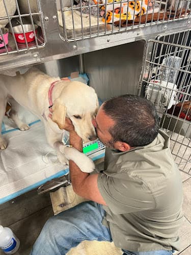 Veterinary Emergency Group