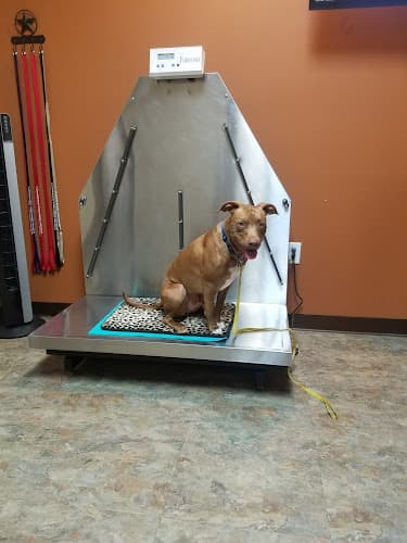 Stone Ridge Veterinary Medical Center