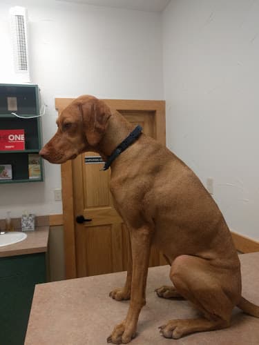 Sunset Canyon Veterinary Clinic