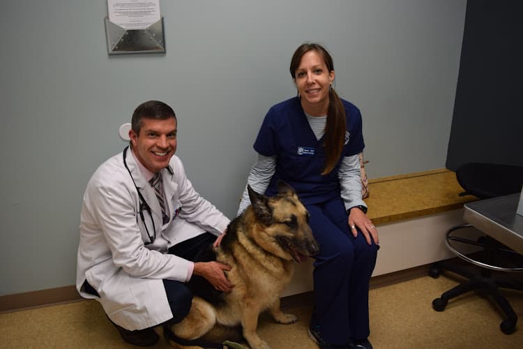 Sugar Land Veterinary Specialists & Emergency Care