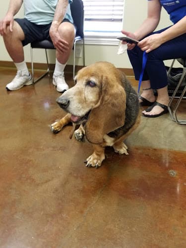VCA Deer Creek Animal Hospital