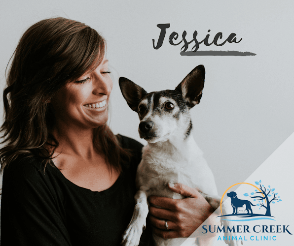 Summer Creek Animal Clinic