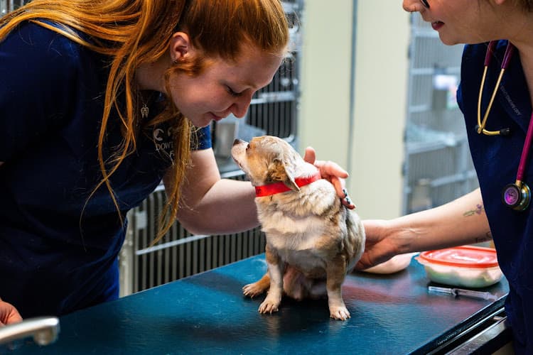 Dowlen Road Veterinary Center