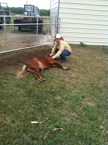 South Texas Large Animal Mobile Veterinary Services, PLLC