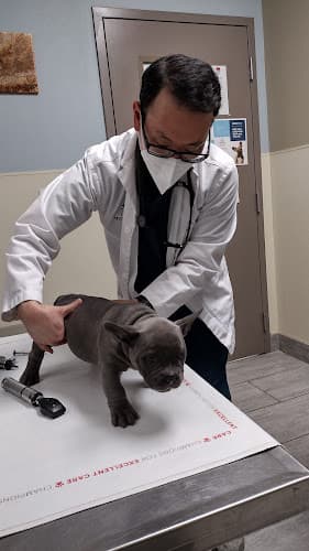 Above & Beyond Pet Care Hospital