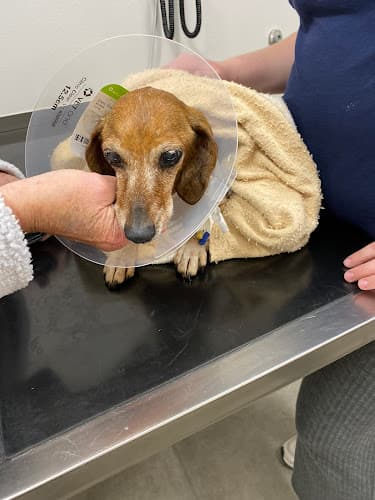 Avondale Haslet Animal Clinic