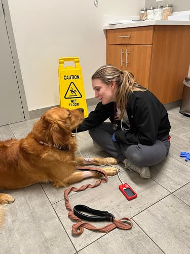 Veterinary Emergency Group