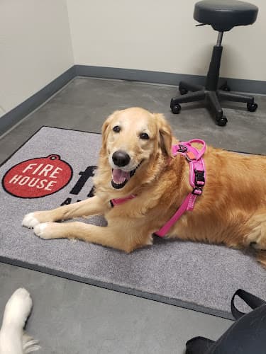 Firehouse Animal Health Center Belterra