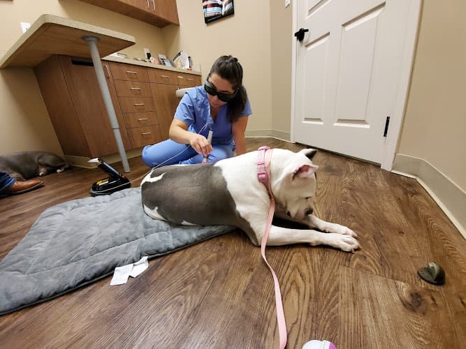 Shadow Creek Veterinary Clinic
