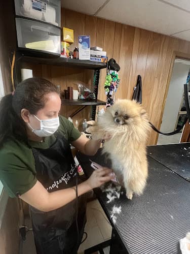 Orlando's Dog's grooming