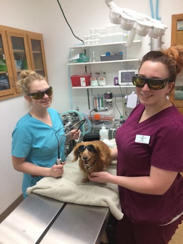 Dripping Springs Animal Hospital