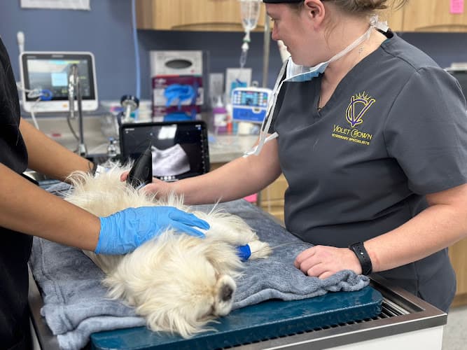 Violet Crown Veterinary Specialists