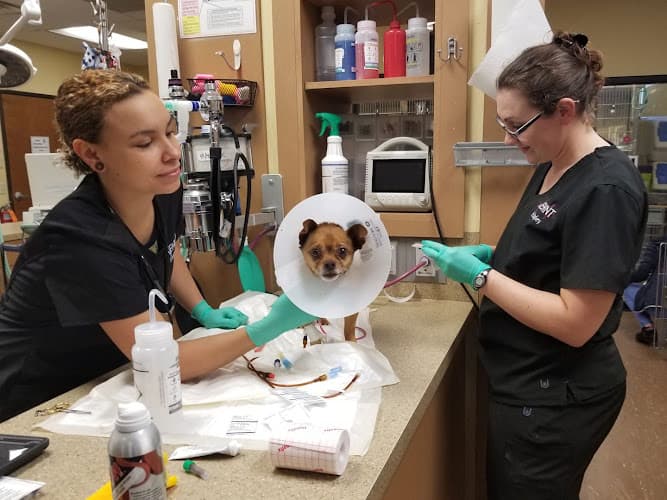 Animal Emergency Hospital of North Texas