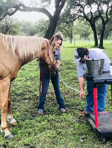 Pecan Grove Veterinary Services
