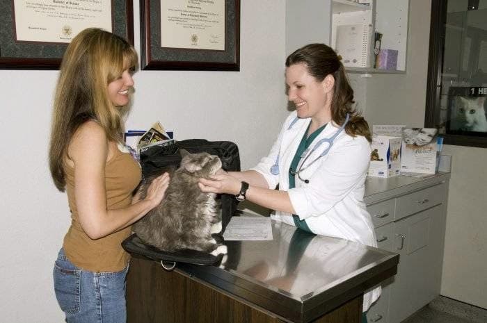 VCA Sandy Lake Animal Hospital