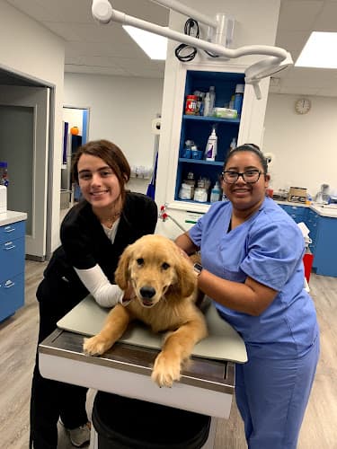 Trail Pet Hospital