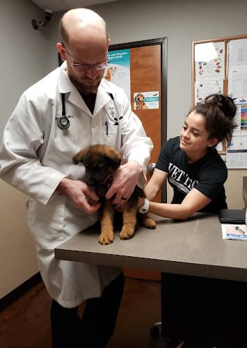 Swann Animal Clinic at 45th