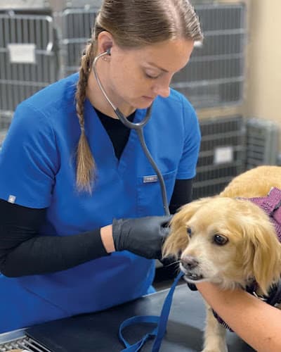 Creekside Pet Care Center