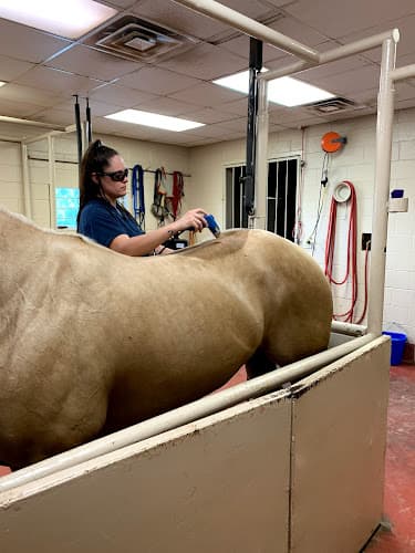 Retama Equine Hospital