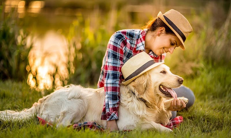 Animal Hospital of Lubbock
