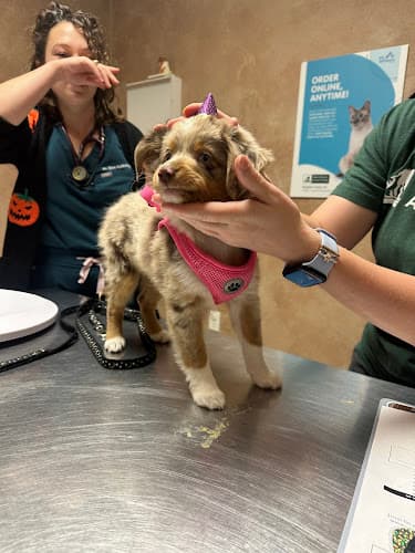 West Brazos Animal Center