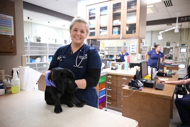 BluePearl Pet Hospital Stone Oak