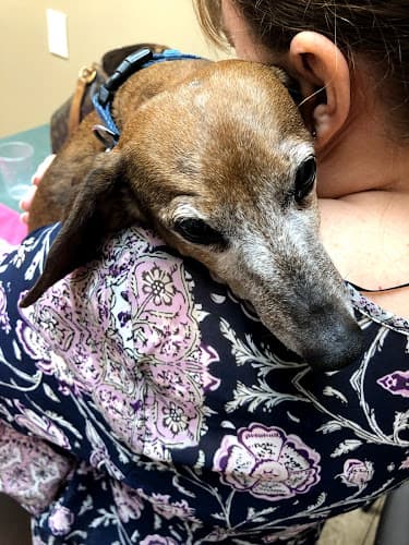 VCA Beltline East Animal Hospital