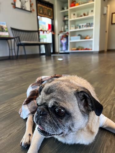 Greenville Animal Hospital