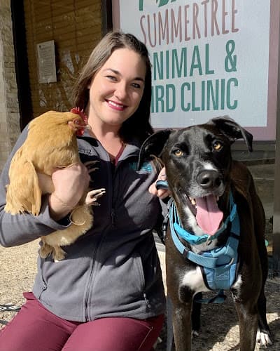 Summertree Animal & Bird Clinic